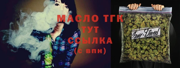 гашик Богородицк