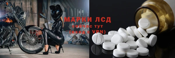 ПСИЛОЦИБИНОВЫЕ ГРИБЫ Белокуриха