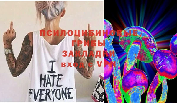 МДМА Новодвинск