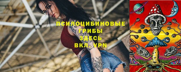 ПСИЛОЦИБИНОВЫЕ ГРИБЫ Белокуриха