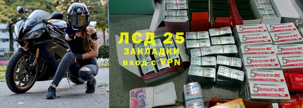 ПСИЛОЦИБИНОВЫЕ ГРИБЫ Белокуриха