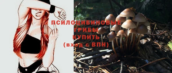 бутират Беломорск