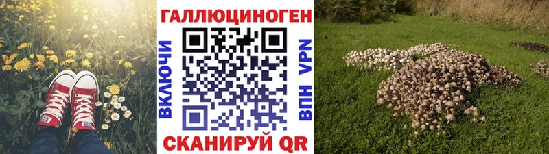 купить наркоту  Пятигорск  Галлюциногенные грибы Cubensis 