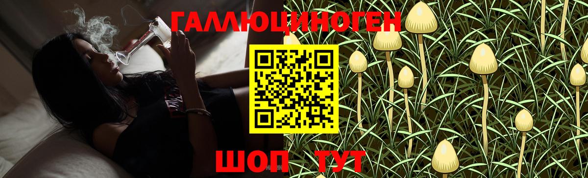 Галлюциногенные грибы ЛСД  Галлюциногенные грибы GOLDEN TEACHER  Вход с VPN  закладка  Пятигорск 