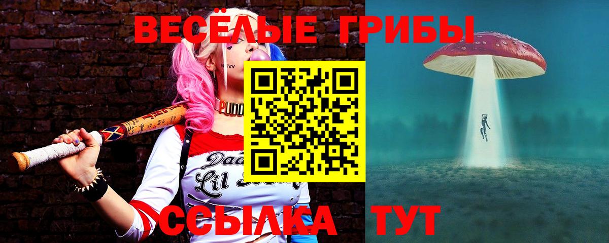 Псилоцибиновые грибы мухоморы Пятигорск